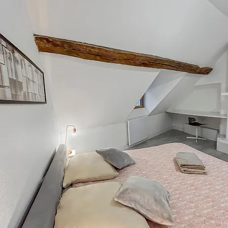 Havre De Paix T4 De 90 M2 - Coeur De Troyes Apartmán