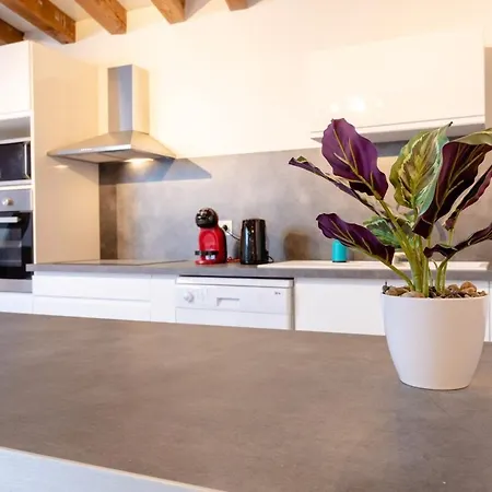 Havre De Paix T4 De 90 M2 - Coeur De Apartman Troyes