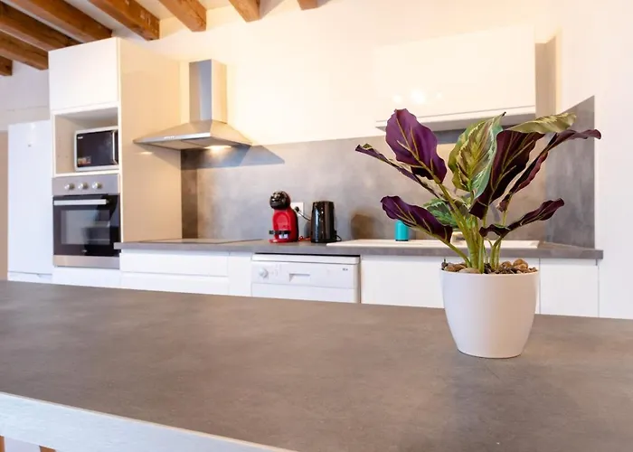 Havre De Paix T4 De 90 M2 - Coeur De Apartman Troyes